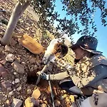 아파트 Aromas Del Jiloca, Tierra De Trufas