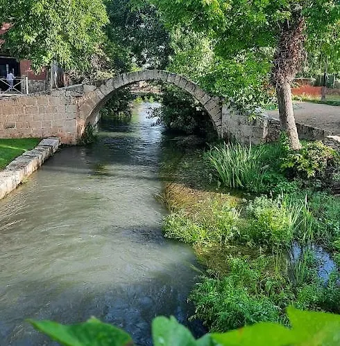 Apartamento Aromas Del Jiloca, Tierra De Trufas *