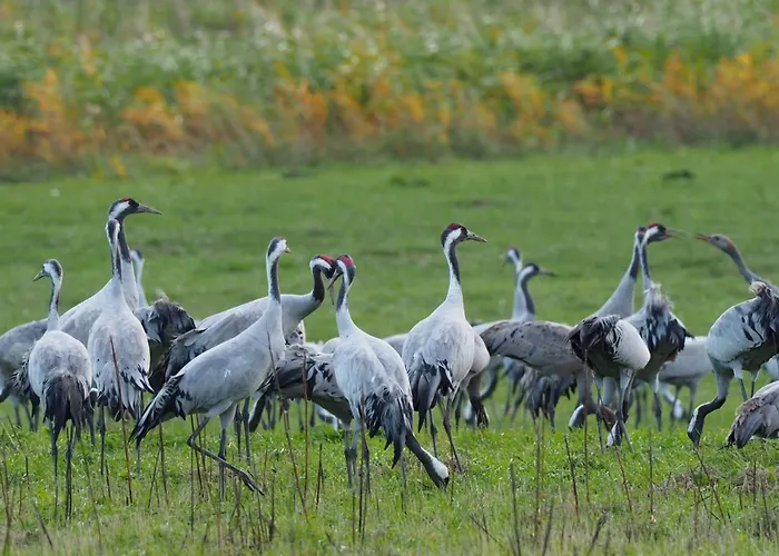 Aromas Del Jiloca, Tierra De Trufas Apartamento Calamocha