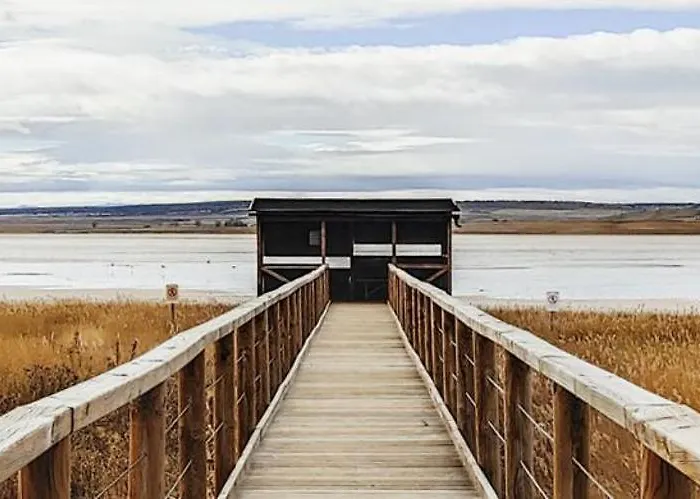 Aromas Del Jiloca, Tierra De Trufas Calamocha