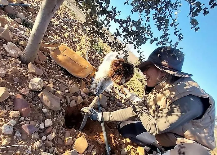 Apartamento Aromas Del Jiloca, Tierra De Trufas